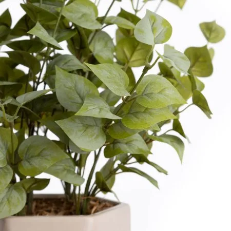 Artificial eucalyptus foliage in a beige vase - Décors Véronneau