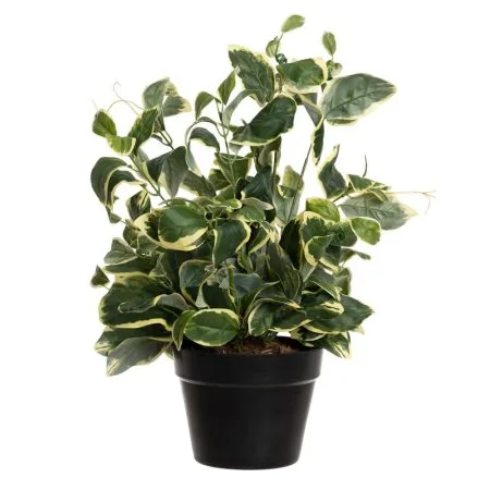 Artificial potted euonymus plant