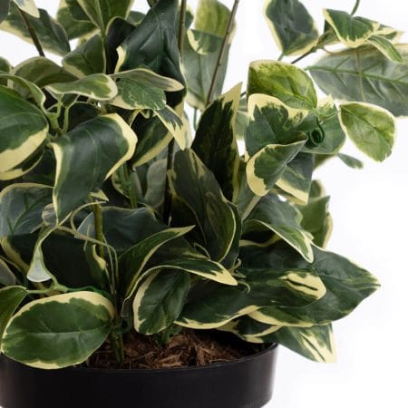 Artificial potted euonymus plant - Décors Véronneau