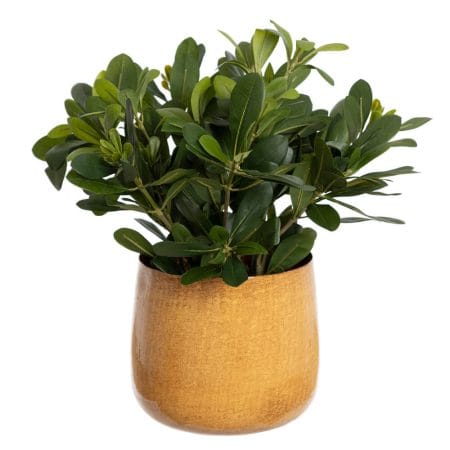 Artificial greenery in a yellow amber pot