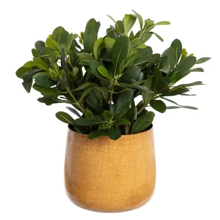 Artificial greenery in a yellow amber pot