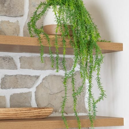 Artificial cyprus hanging greenery, 28'' - Décors Véronneau