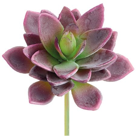 Aeonium mauve artificiel au toucher réel, 5''
