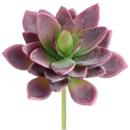 Aeonium mauve artificiel au toucher réel, 5''