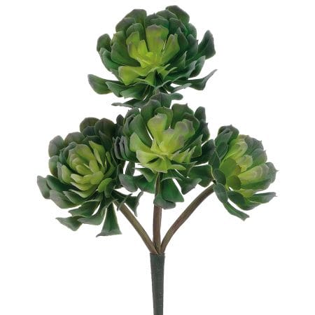 Tige de 4 echeverias verts artificiels, 12,5''