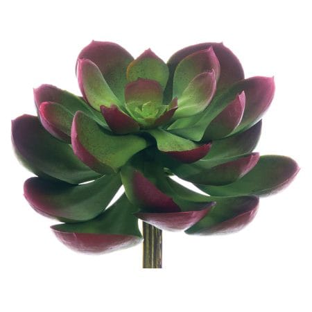 Echeveria bourgogne et vert artificiel au toucher réel, 5''