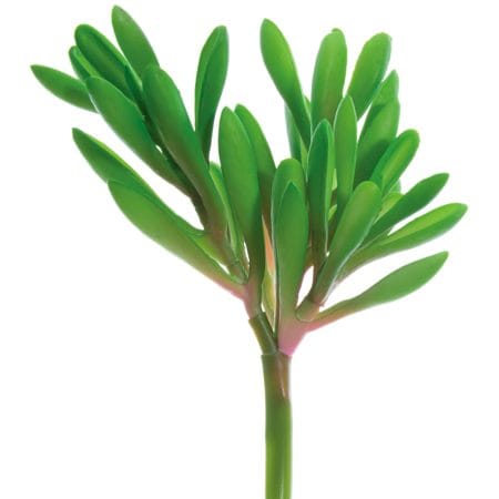 Pic de carpobrotus edulis artificiel au toucher réel, 6''