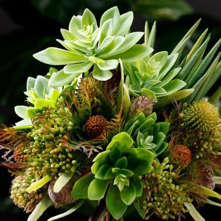 Succulente senecio vitalis artificiel, 8'' - Décors Véronneau