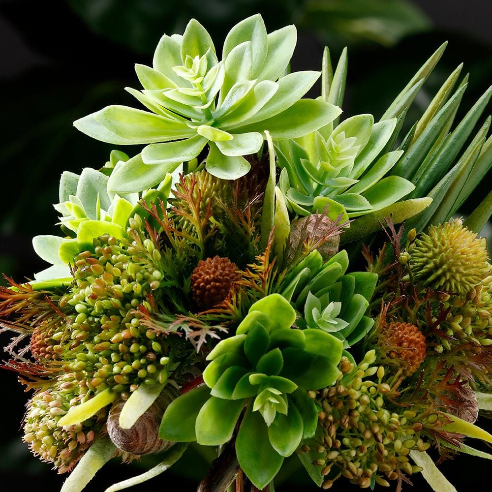 Succulente senecio vitalis artificiel, 8'' – Image 2 - Décors Véronneau