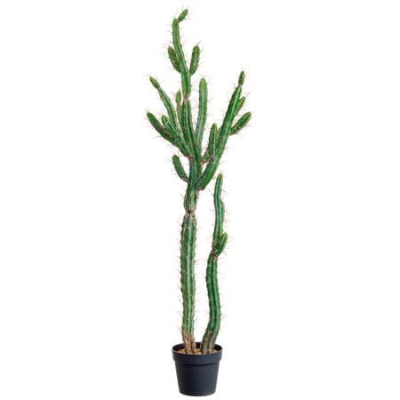 Cactus péruvien artificiel, 57,5''