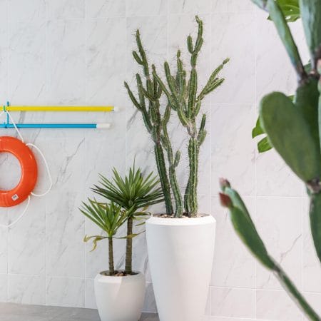 Cactus péruvien artificiel, 57,5'' - Décors Véronneau