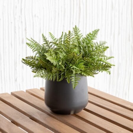 Outdoor artificial leatherleaf fern, 8,5'' - Décors Véronneau