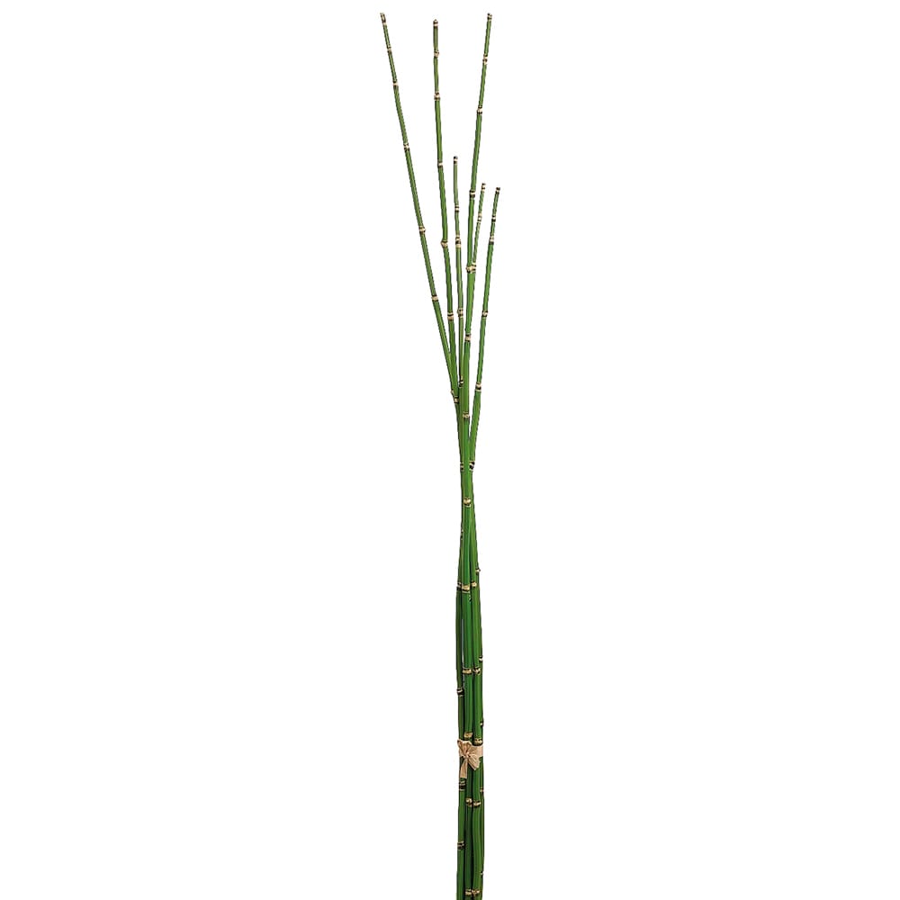 Artificial horsetail reeds, 36'' - Décors Véronneau