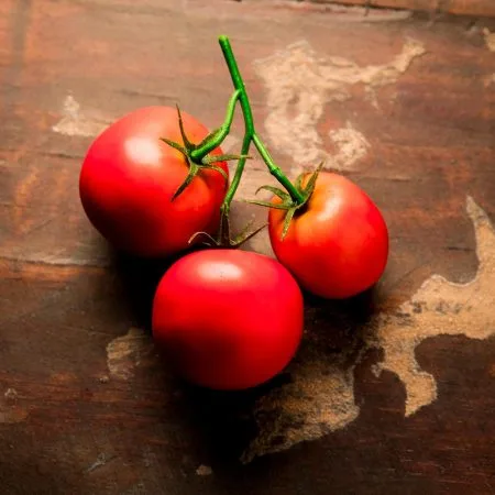 Tige de 3 tomates rouges artificielles, 5'' - Décors Véronneau
