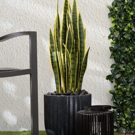 Plante artificielle extérieure, sansevière, 36