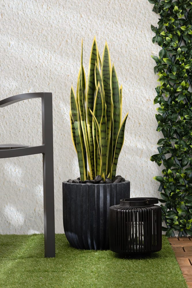 Plante artificielle extérieure sansevière jaune en pot noir - Décors Véronneau