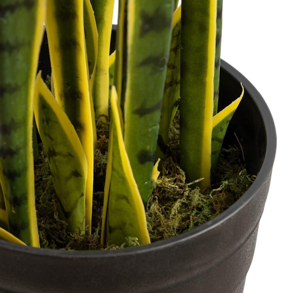 Sansevieria artificial outdoor plant, 36" - Image 4 - Décors Véronneau