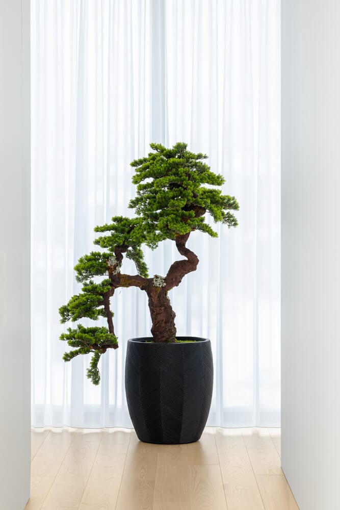 Bonsai fait main - Décors Véronneau