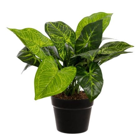 Plante artificielle extérieure, caladium, 18 x 13