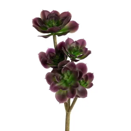 Succulente artificielle joubarbe mauve foncé, 16''
