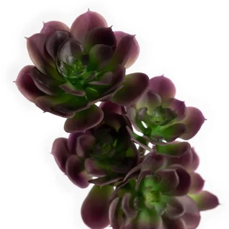 Succulente artificielle joubarbe mauve foncé, 16'' - Décors Véronneau