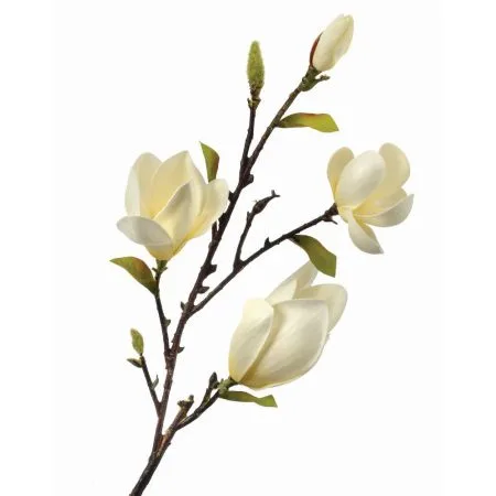 Tige de magnolia de soulange blanc artificiel, 34''
