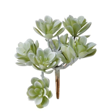 Mini succulente grise retombante artificielle, 5''