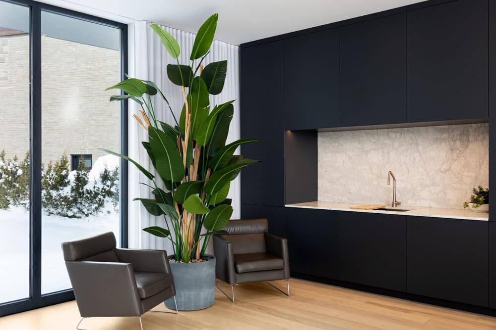 Oiseau du paradis et branches en bois dans une cuisine - Décors Véronneau