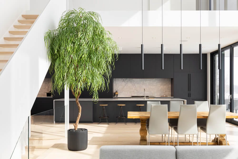 Saule pleureur intérieur - Décors Véronneau