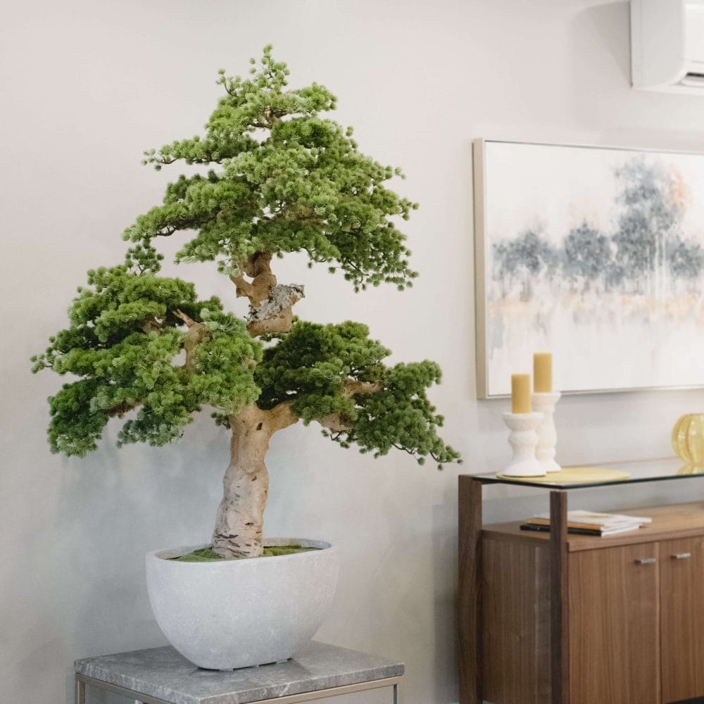 Bonsaï artificiel - Décors Véronneau