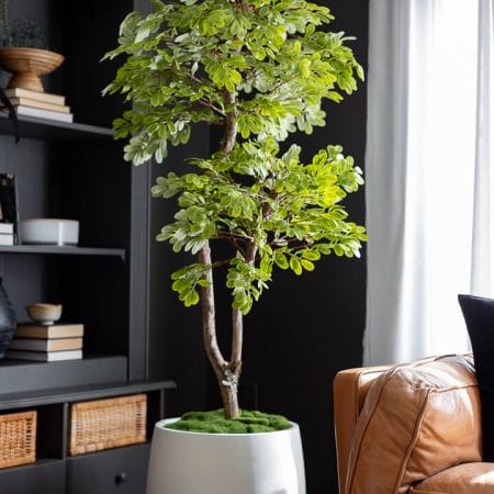 Arbre d'acacia artificiel fait main - Décors Véronneau