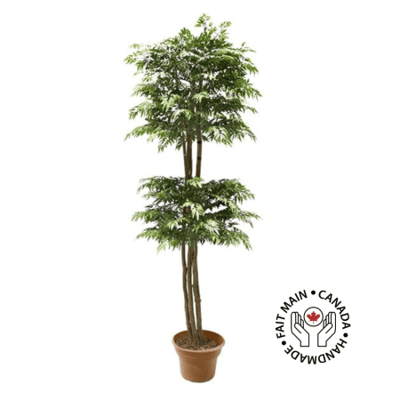 Arbre aralia ming fait main