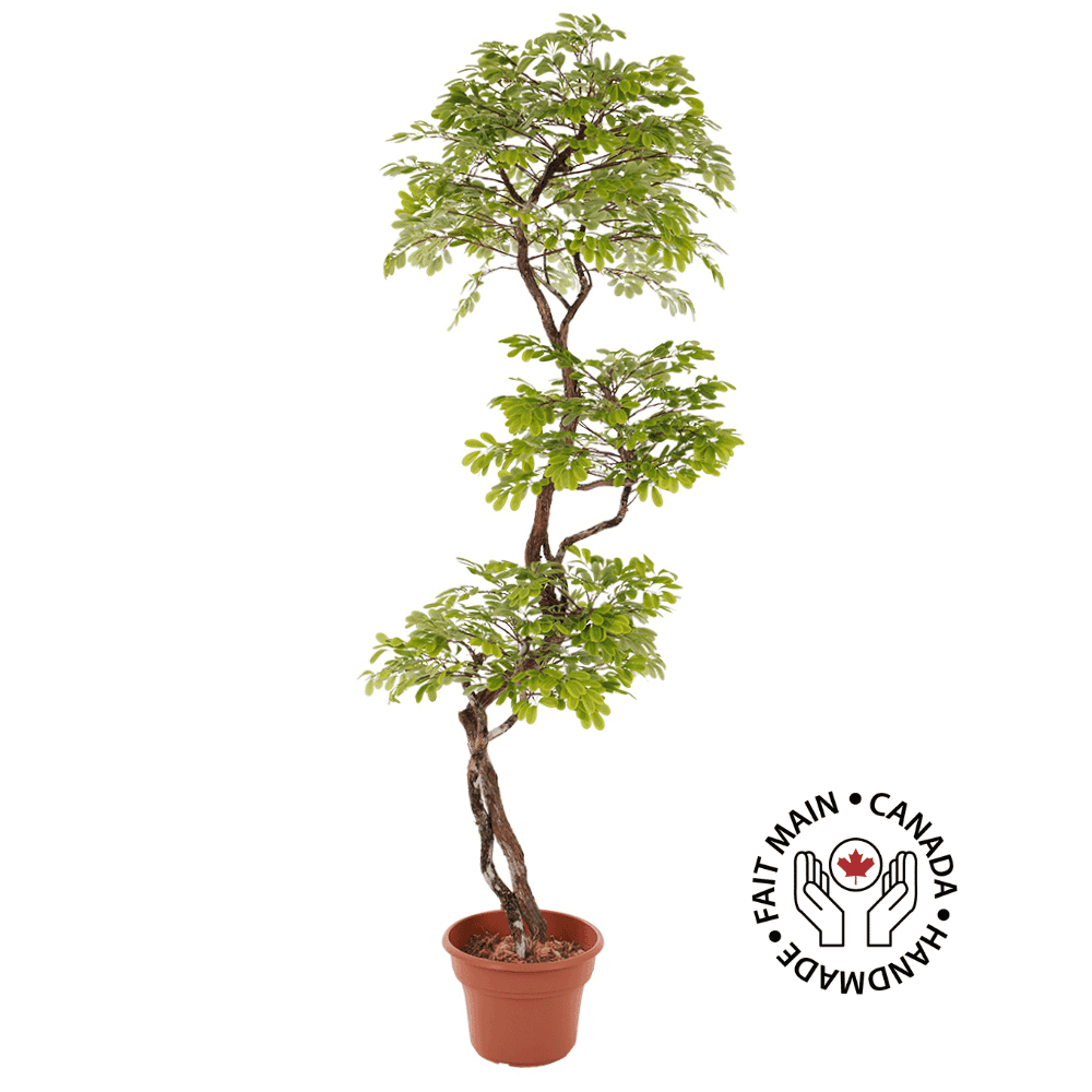 Arbre d'acacia artificiel - Décors Véronneau