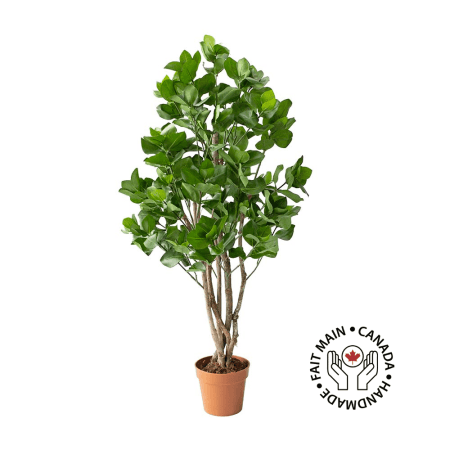 Arbre clusia artificiel fait main