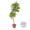 Arbre roseleaf artificiel - Décors Véronneau