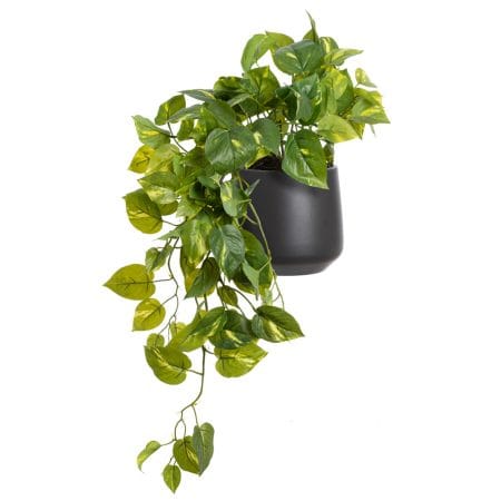 Artificial small pothos plant in a black pot