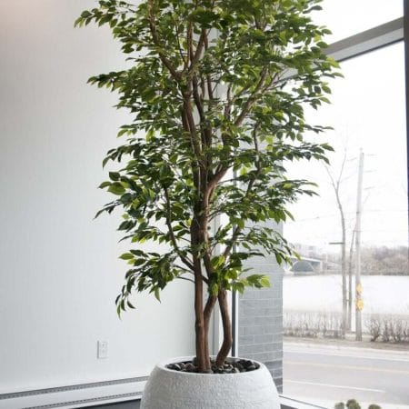 Arbre de mini ficus vert artificiel fait main - Décors Véronneau