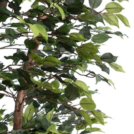 Arbre ficus au feuillage ignifuge - Décors Véronneau