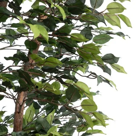 Ficus tree with fire-retardant foliage - Décors Véronneau