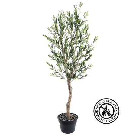 Olive tree with fire-retardant foliage
