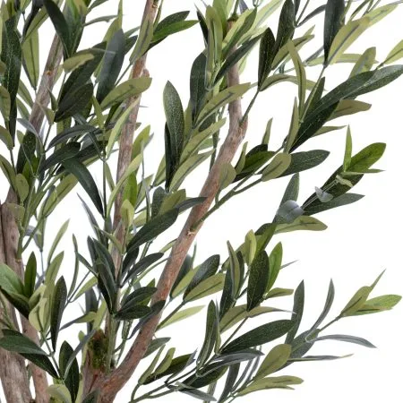 Olive tree with fire-retardant foliage - Décors Véronneau