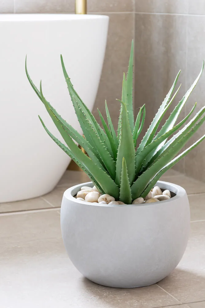 Plante artificielle agave verte dans un pot en béton - Décors Véronneau