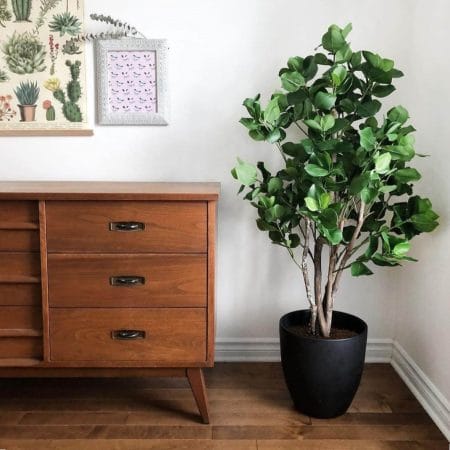 Arbre clusia artificiel fait main - Décors Véronneau