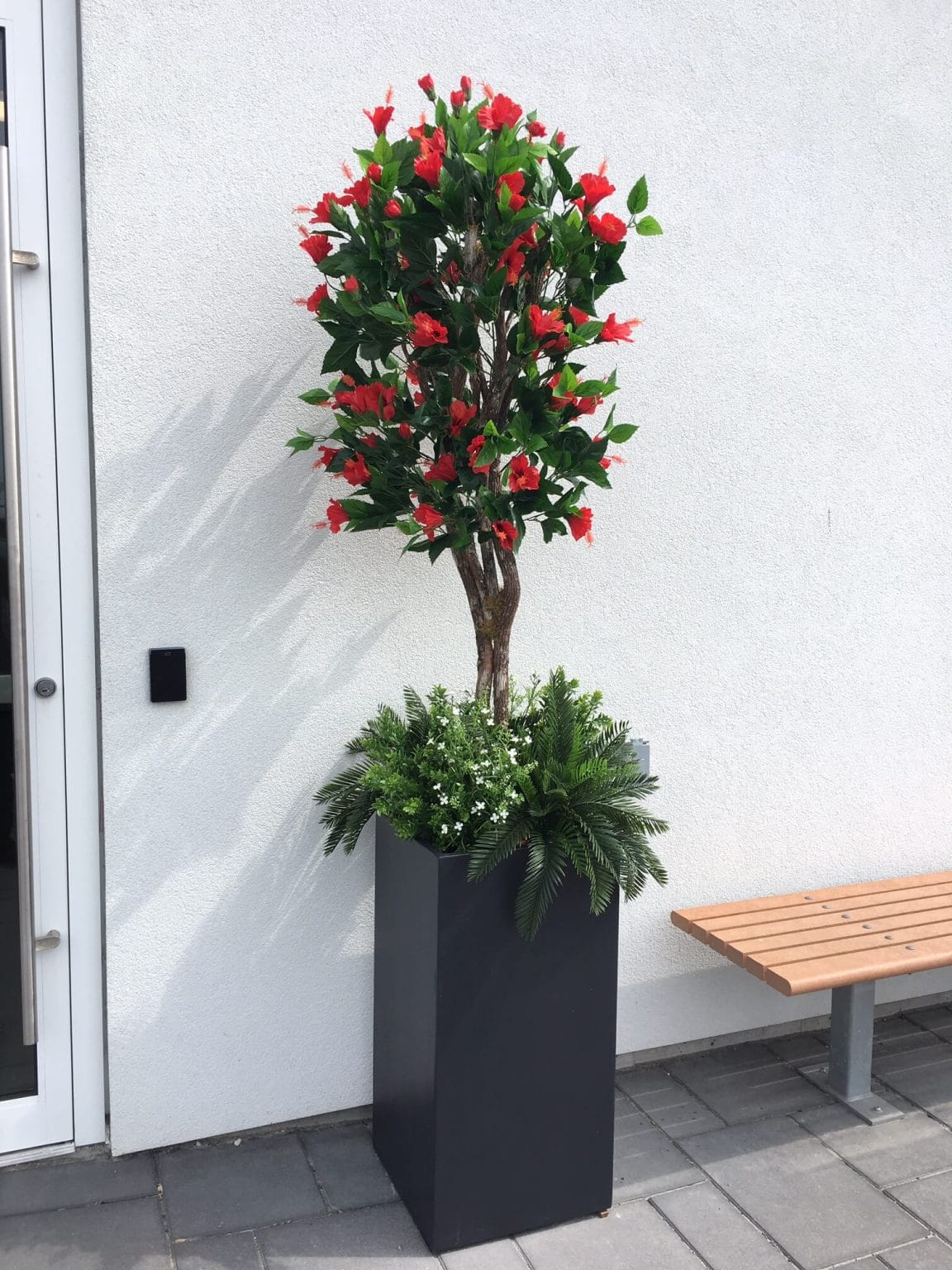 Arbre hibiscus rouge - Décors Véronneau