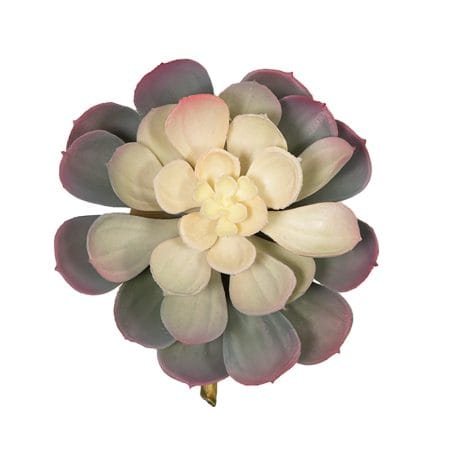 Succulente echeveria mauve ignifuge, 3,5'' - Décors Véronneau