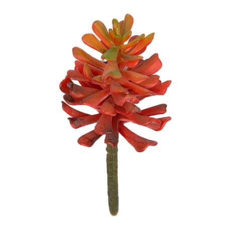 Pic de succulente rouge ignifuge, 3,5''
