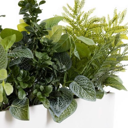 Centre de table artificiel avec fougère et fittonia, 14 x 23'' - Décors Véronneau