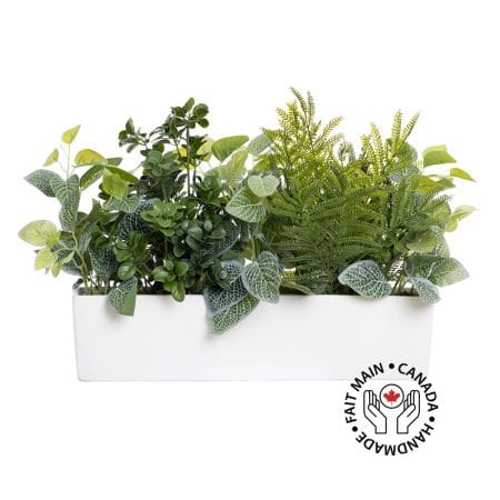 Centre de table artificiel avec fougère et fittonia, 14 x 23''