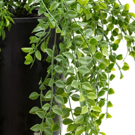 Fougère pelléa artificielle en pot de culture, 25 x 19'' - Décors Véronneau