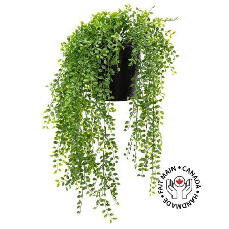 Fougère pelléa artificielle en pot de culture, 25 x 19''